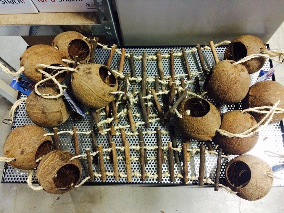Knaagproef Kokosnoten hangbrug onverwoestbaar voor gerbils